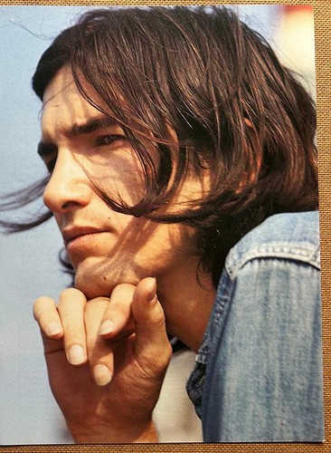Townes van zandt 2003 - townes,