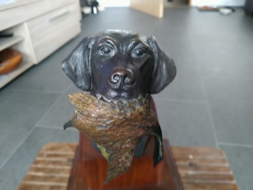 Sandra van zandt labrador - sandra,